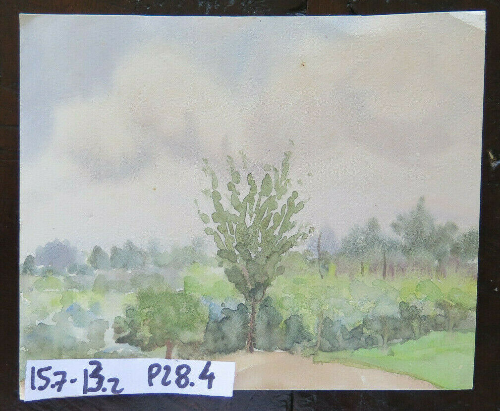 OLD WATERCOLOR ON PAPER SKETCH SKETCH COUNTRY LANDSCAPE VINEYARDS P28.4