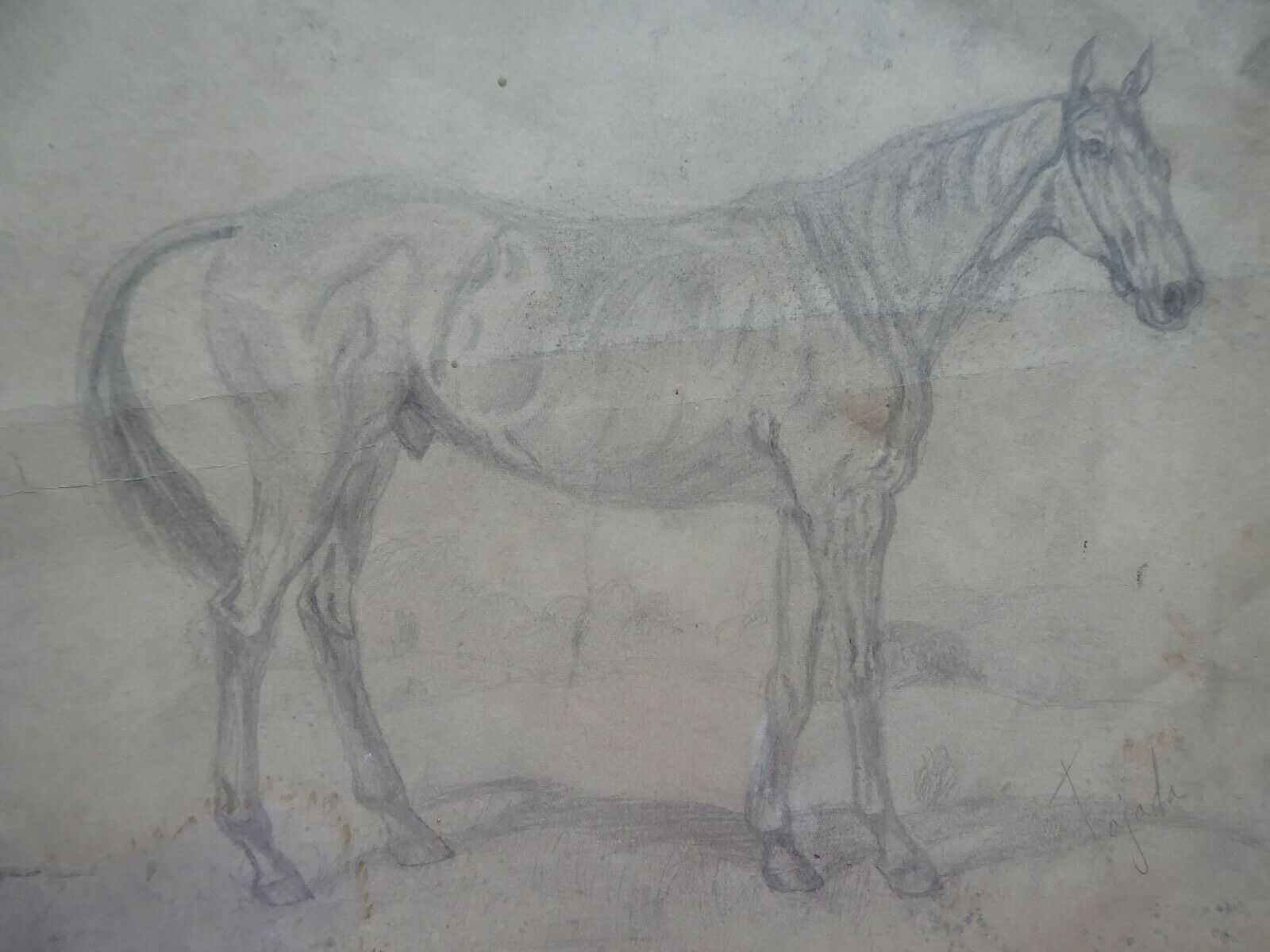 VECCHIO DISEGNO CON CAVALLI EQUESTRE FIRMATO TAJADA SPAGNA VINTAGE QUADRO MD10 - Belbello Antiques