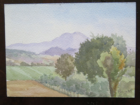 QUADRO VINTAGE DIPINTO ACQUERELLO PAESAGGIO CAMPAGNA EMILIANA FIRMATO P14