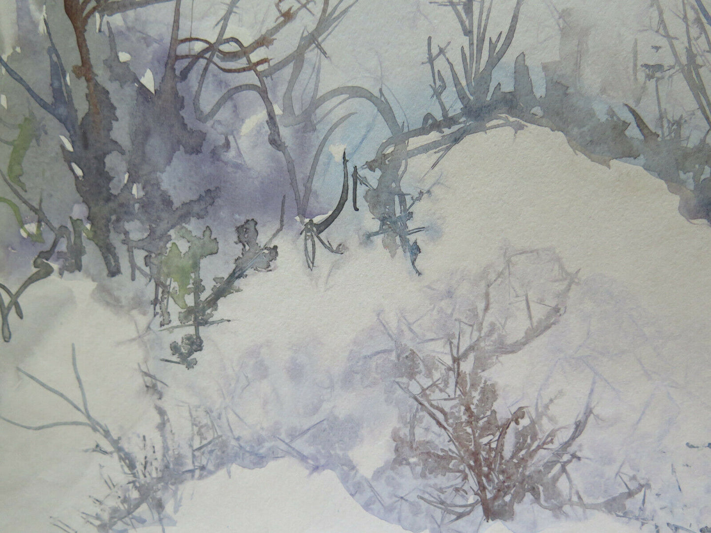 50x35 cm WINTER LANDSCAPE ONRIC PICTURE PAINTED IN ICE WATERCOLOR P14