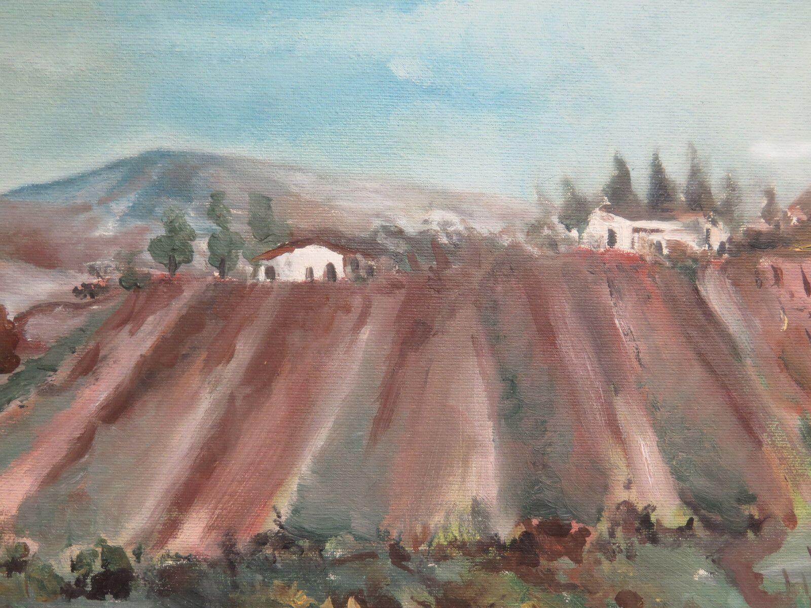 PAESAGGIO DI CAMPAGNA CON VIGNE E FILARI DI VITA QUADRO DIPINTO AD OLIO '900 G40 - Belbello Antiques