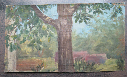 QUADRO ANTICO DIPINTO SU TAVOLA VEDUTA PAESAGGIO CON ALBERI ORIGINALE p1 - Belbello Antiques