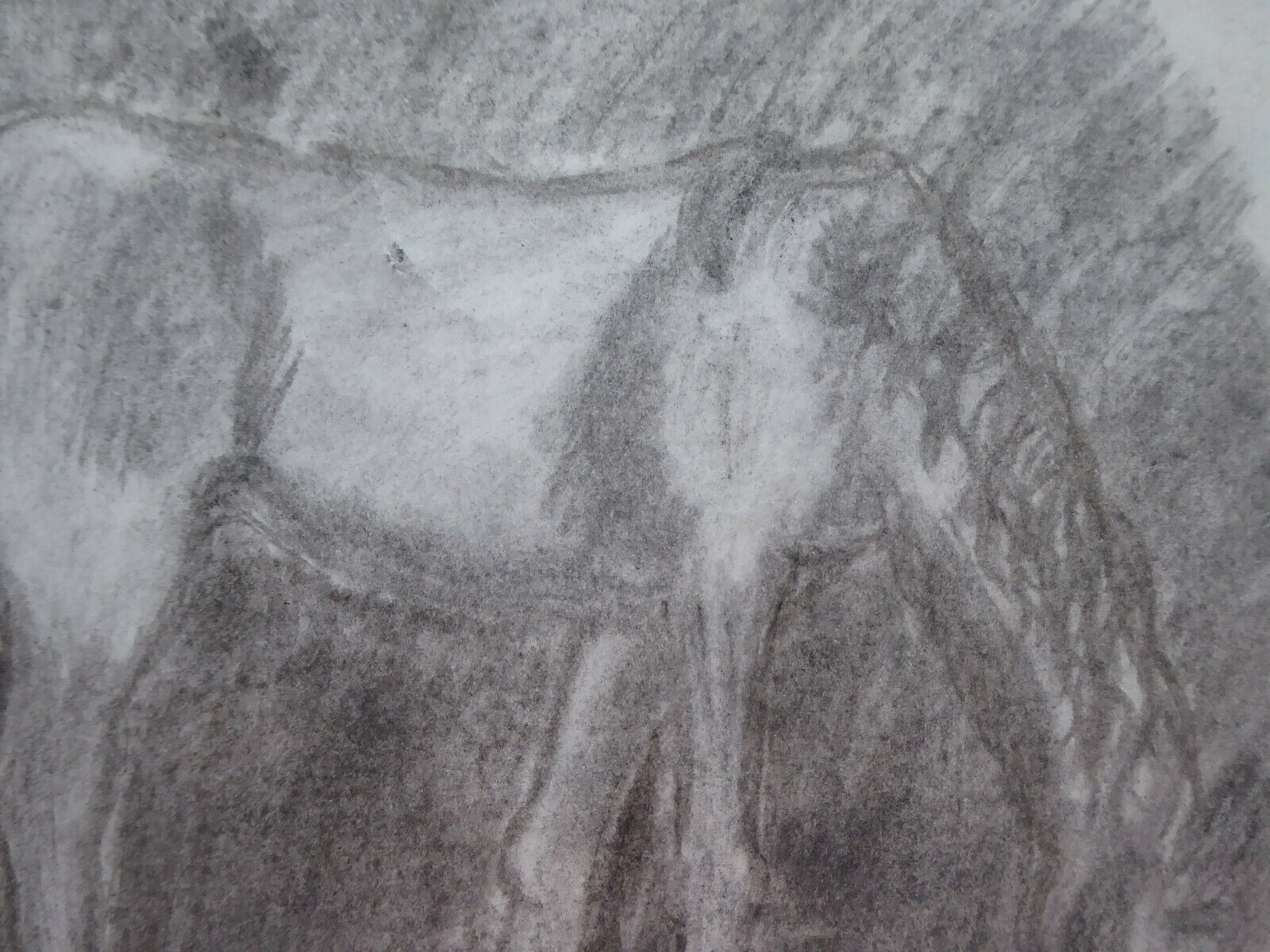 VECCHIO DISEGNO CON CAVALLO EQUESTRE BOZZETTO SCHIZZO SPAGNA VINTAGE QUADRO MD10 - Belbello Antiques