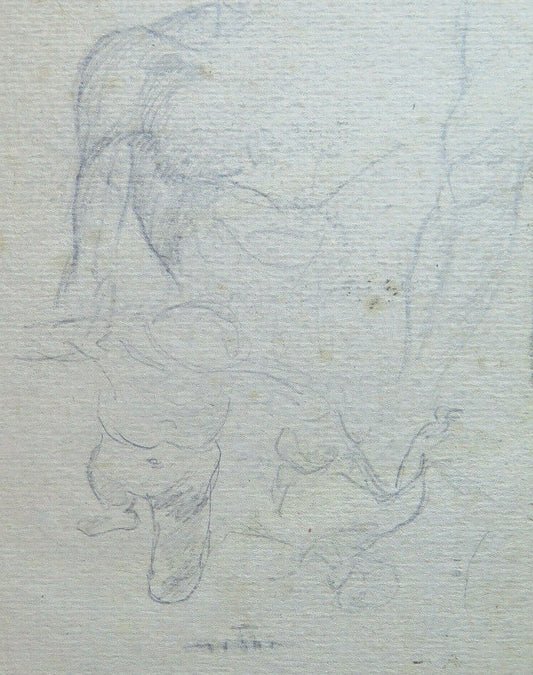 DISEGNO ANTICO STUDIO PER CORPO UMANO 1940 CIRCA MATITA SU CARTA NUDO P28.6 - Belbello Antiques