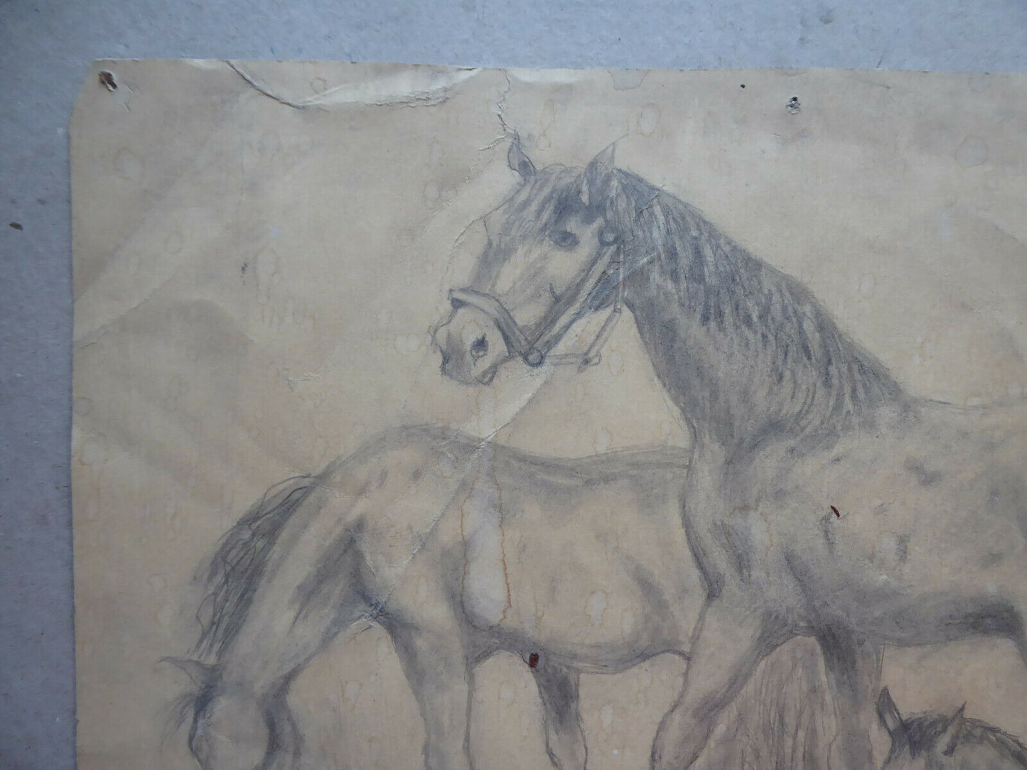 VECCHIO DISEGNO CON CAVALLI EQUESTRE FIRMATO TAJADA SPAGNA '900 QUADRO MD10 - Belbello Antiques