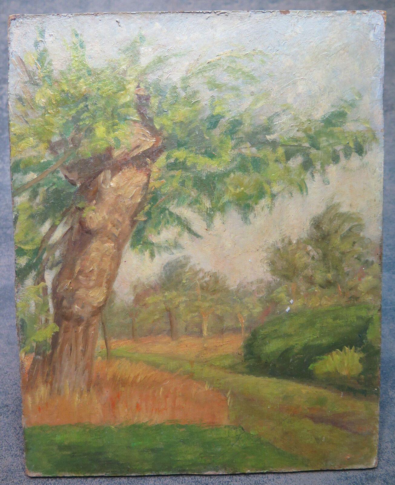 QUADRO ANTICO BOZZETTO SCHIZZO ORIGINALE DEL PITTORE PANCALDI DIPINTO OLIO p1 - Belbello Antiques