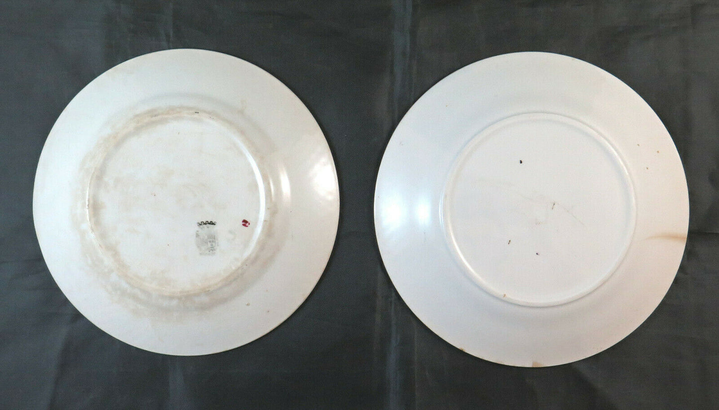 PAIR OF CERAMIC PLATES FROM SARREGUEMINES FAÏENCE FRANCE ANTIQUE PLATE BM25