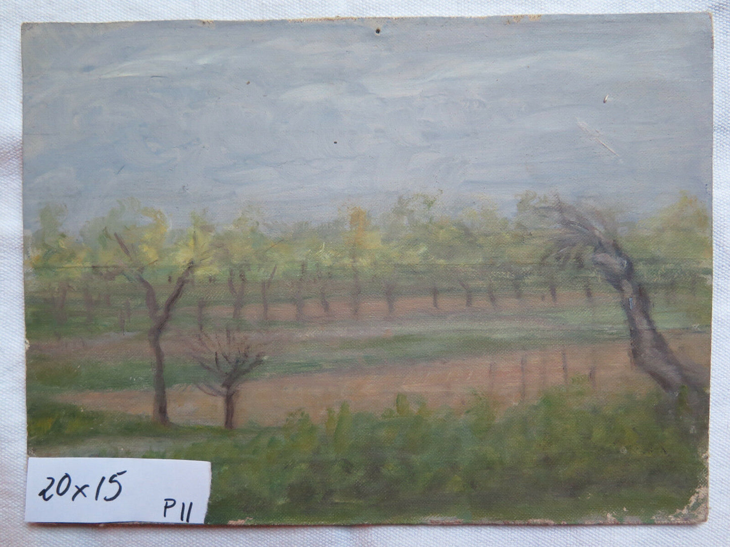 SMALL OIL PAINTING ON A TABLE FROM THE 1950S WITH WARRANTY CERTIFICATE p11