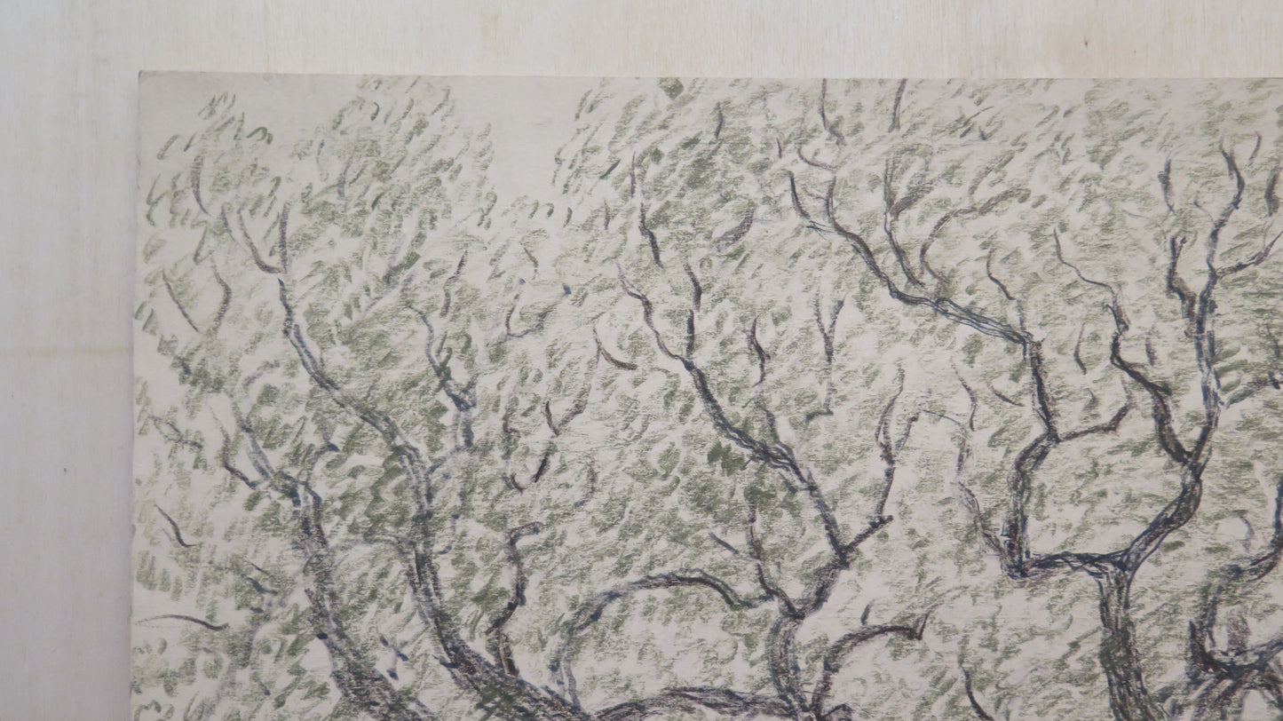 ANTIQUE DRAWING IN IMPRESSIONIST STYLE BEGINNING OF THE CENTURY LANDSCAPE TREES IN FLOWERING BM53.4