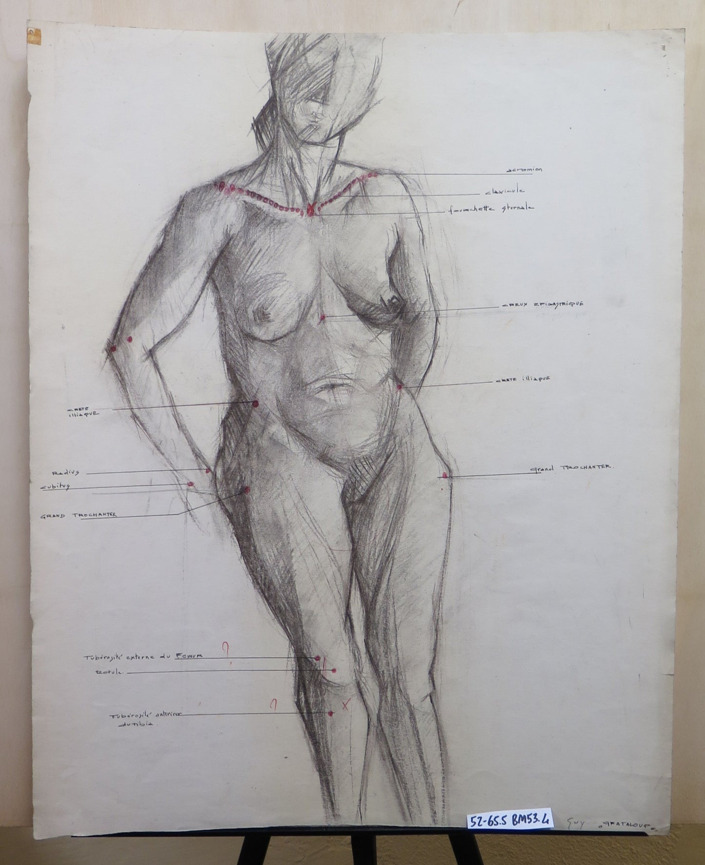 FEMALE NUDE WITH ANATOMICAL STUDY PAINTING SIGNED GUY GRATALOUP BM53.4