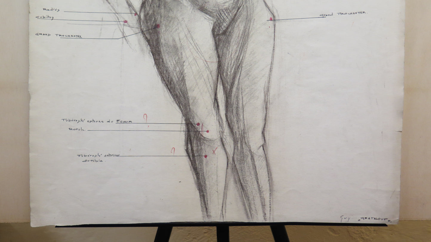 FEMALE NUDE WITH ANATOMICAL STUDY PAINTING SIGNED GUY GRATALOUP BM53.4