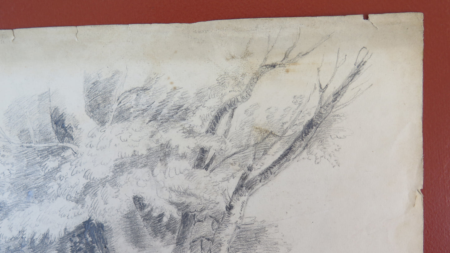 ANTIQUE DRAWING PENCIL ON PAPER SIGNED WOODLAND LANDSCAPE FRANCE EARLY 1900s BM53.5F