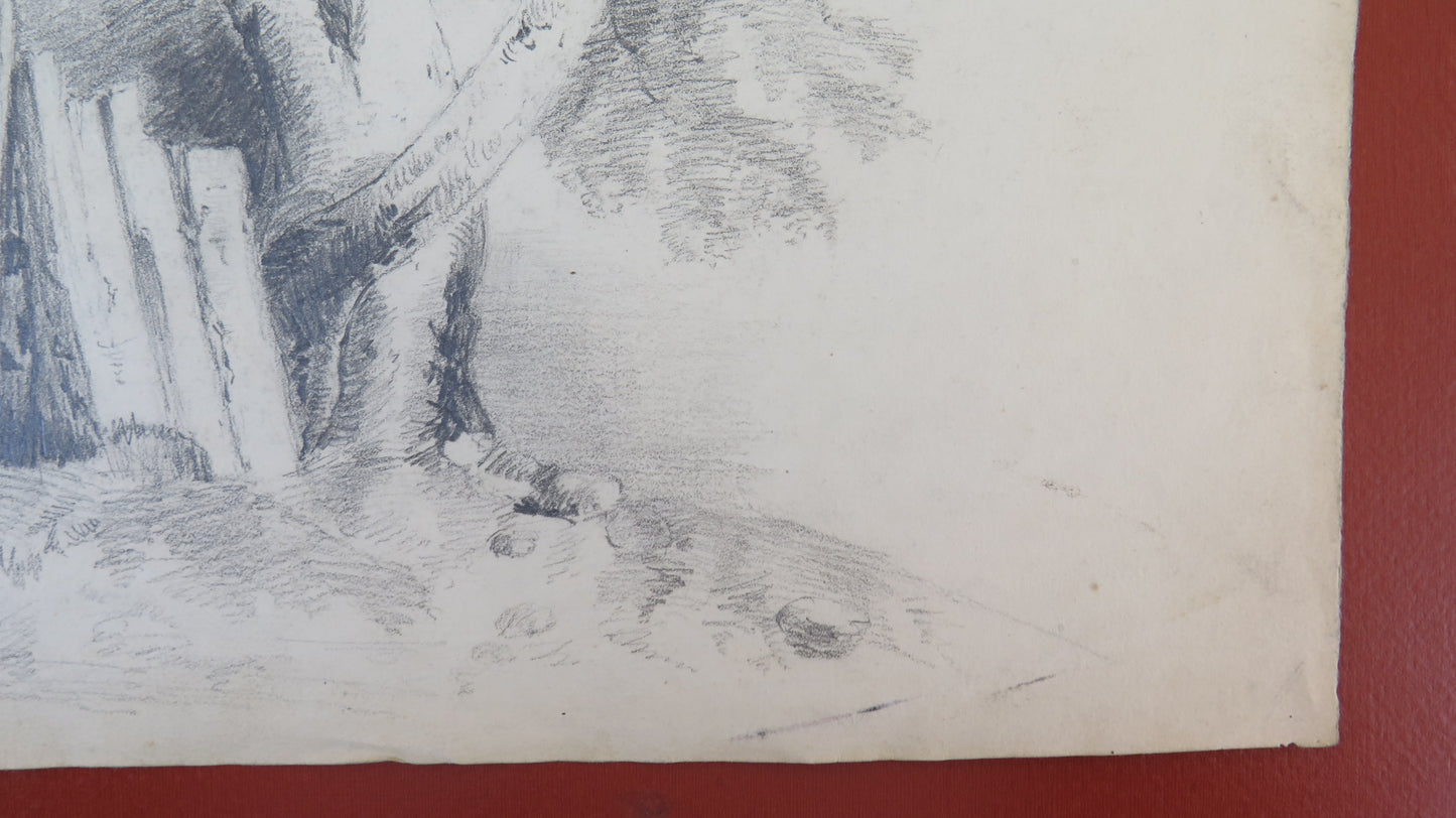 ANTIQUE DRAWING PENCIL ON PAPER SIGNED WOODLAND LANDSCAPE FRANCE EARLY 1900s BM53.5F