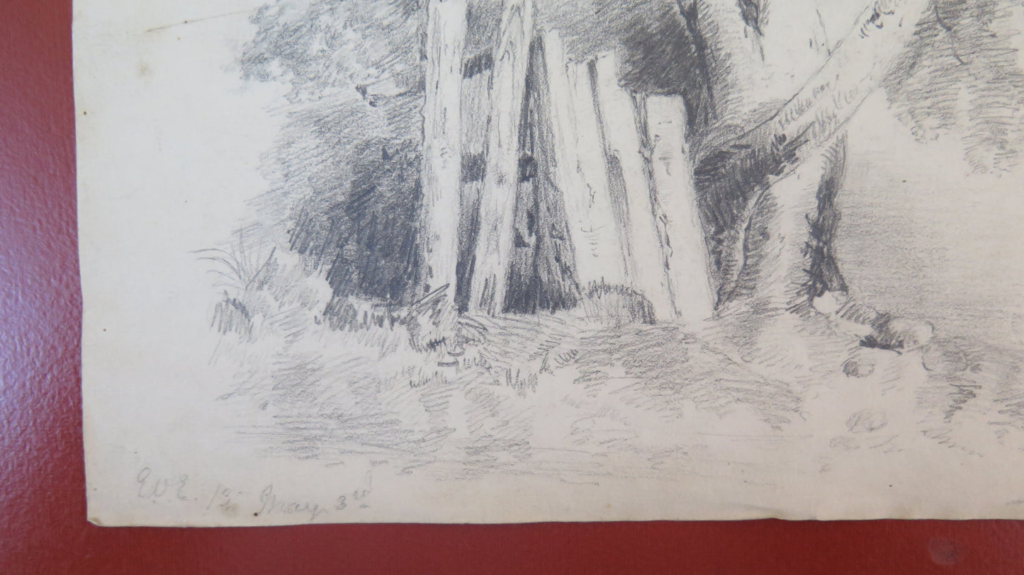 ANTIQUE DRAWING PENCIL ON PAPER SIGNED WOODLAND LANDSCAPE FRANCE EARLY 1900s BM53.5F