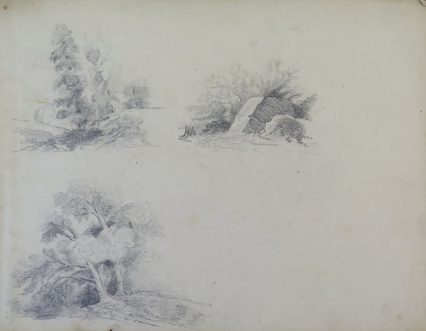 ANTIQUE DRAWING PENCIL ON PAPER SIGNED LANDSCAPE FOREST SKETCH FRANCE BM53.5F