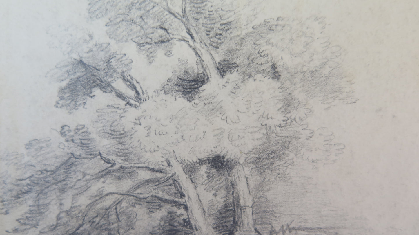 ANTIQUE DRAWING PENCIL ON PAPER SIGNED LANDSCAPE FOREST SKETCH FRANCE BM53.5F