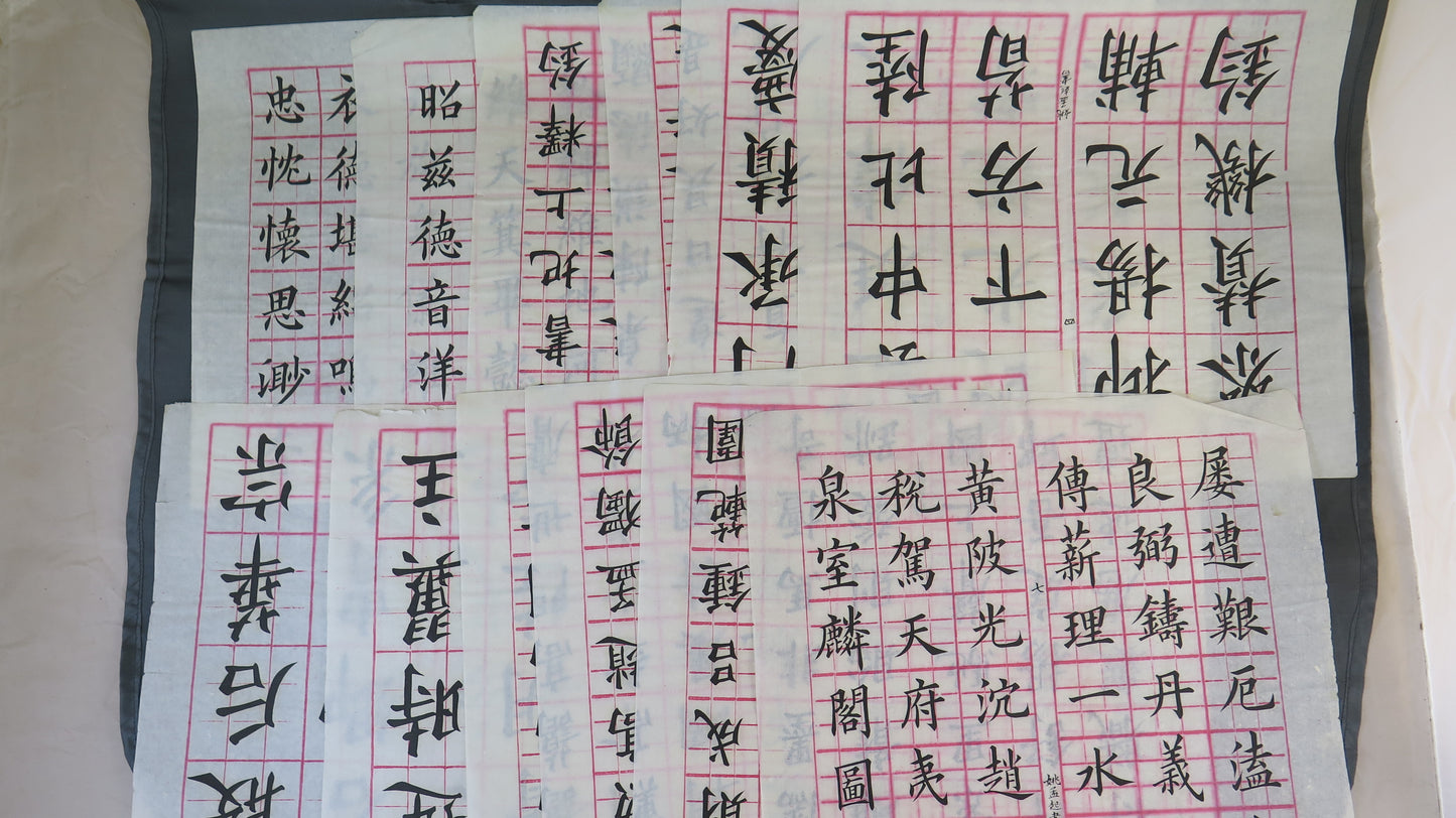 12 SHEETS CHINESE CALLIGRAPHY CHINA IDEOGRAMS VINTAGE ALPHABET CHARACTERS BM53.5G