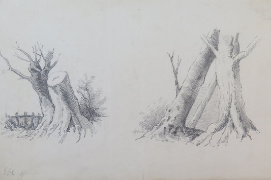ANTIQUE PENCIL DRAWING ON PAPER CUT TREES IN THE COUNTRYSIDE SIGNED PAINTING BM53.5b