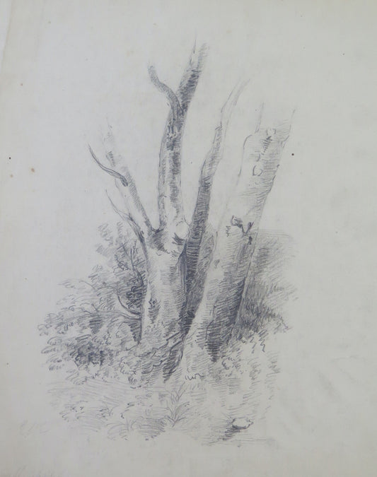 ANTIQUE PAINTING COUNTRY LANDSCAPE PENCIL ON PAPER TREES WOODS FRANCE BM53.5b
